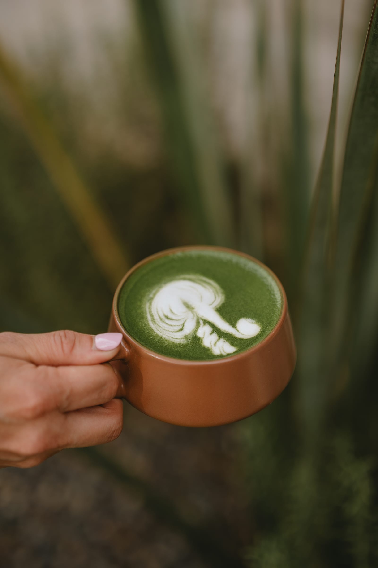 Matcha ritual