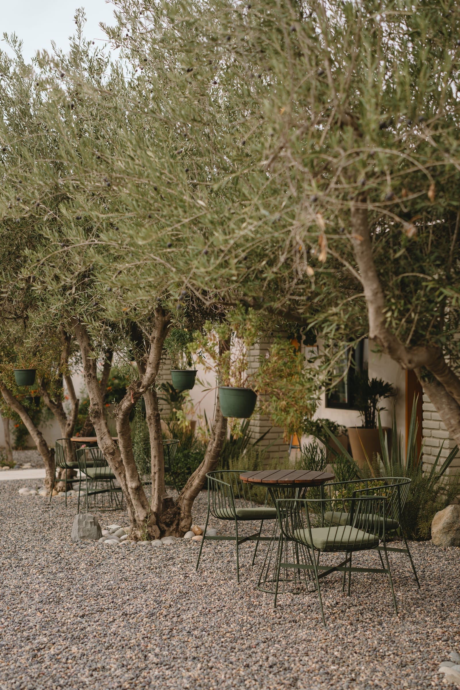 Courtyard with pool