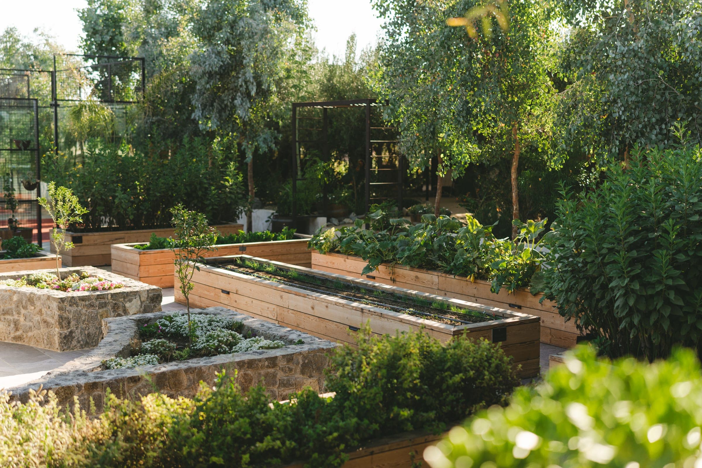 Huerto de Olivea Farm To Table