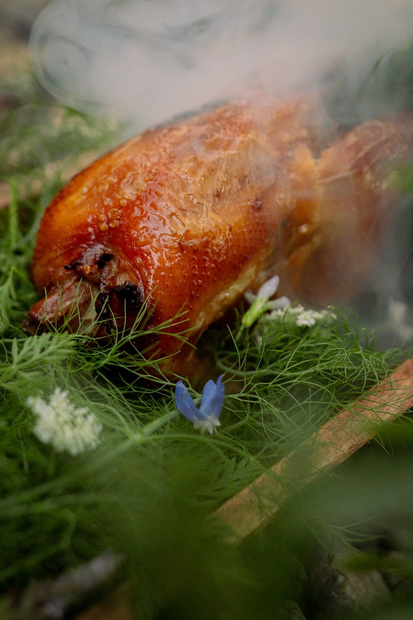 Pollito de Leche